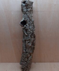 Small Cork Tube - 60-80cm - 19