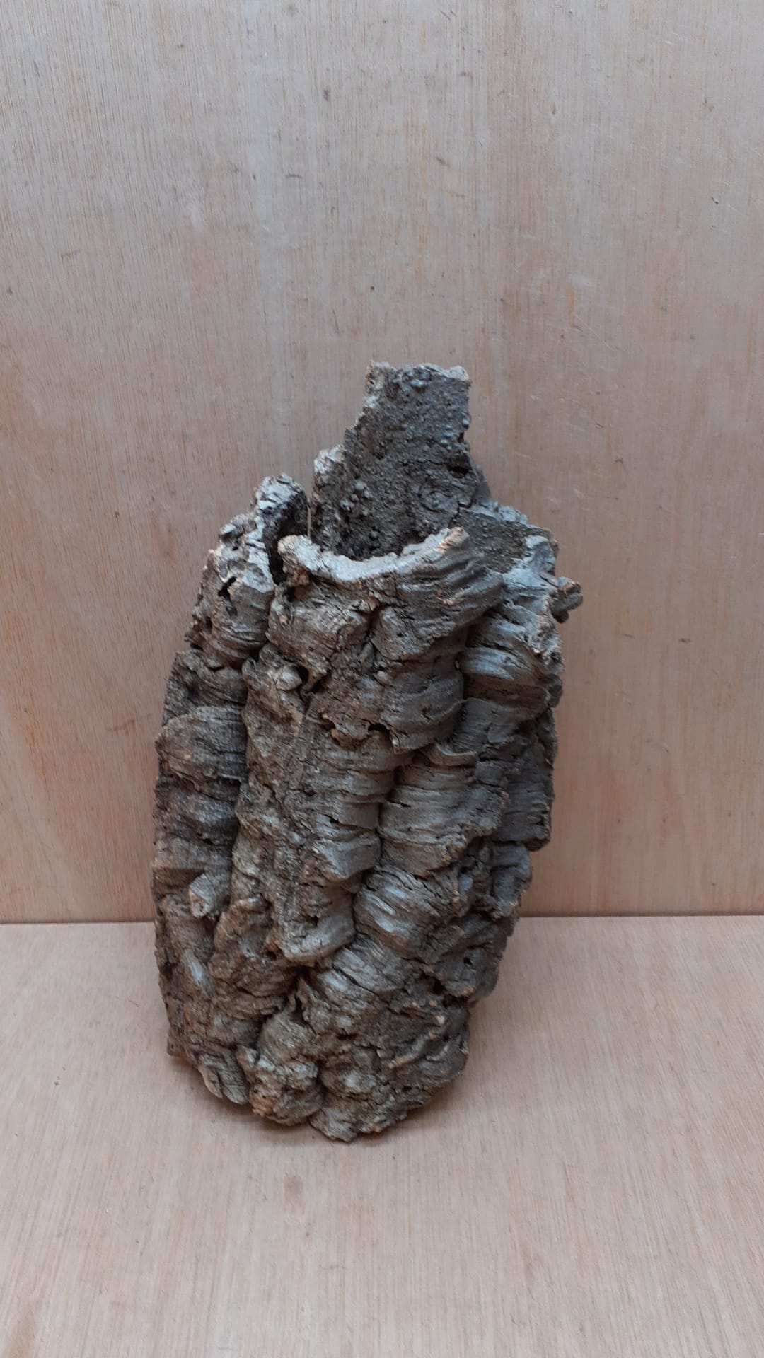 Medium Cork Tube - Upto 40cm - 11