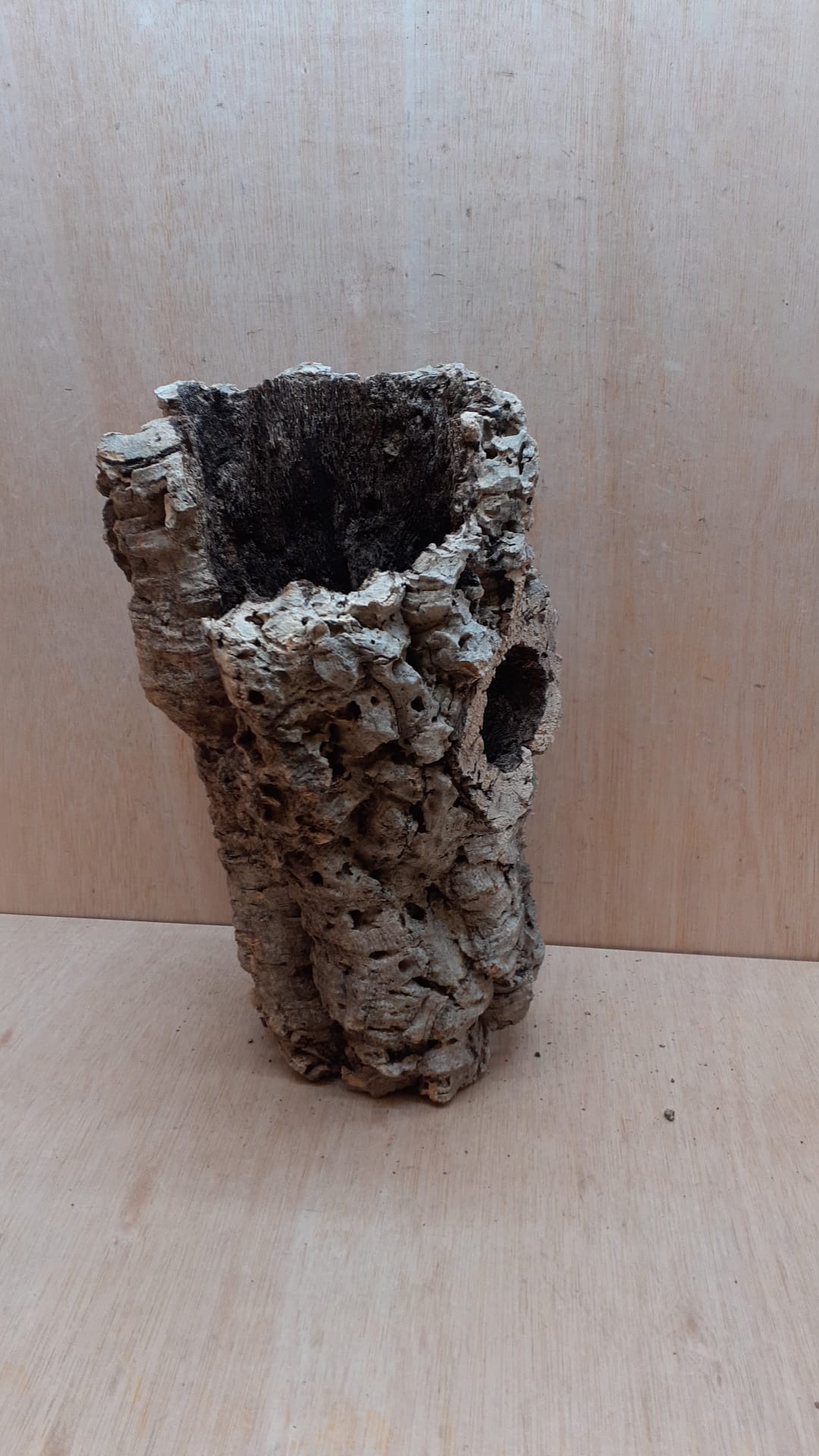 Medium Cork Tube - Upto 40cm - 15