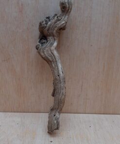 Sandblasted Grapevine - Small 7