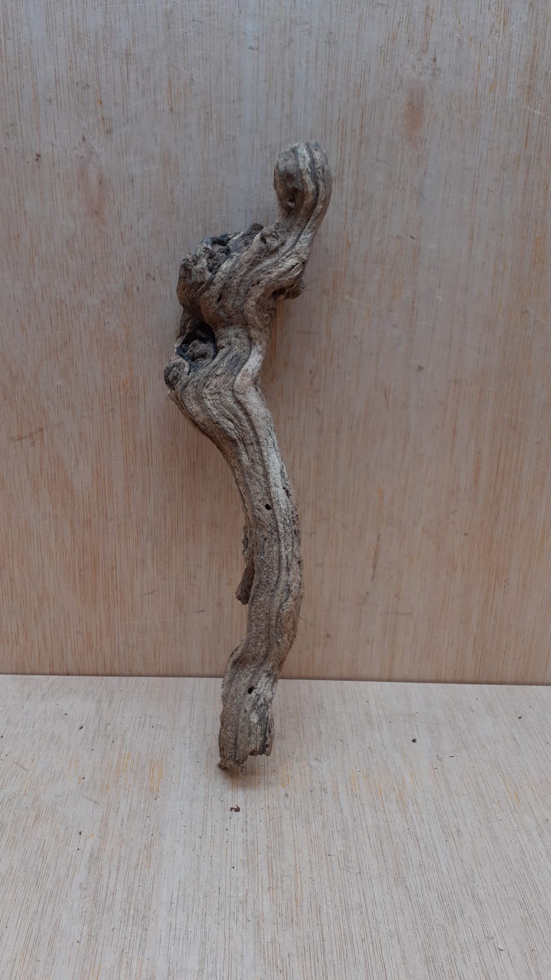 Sandblasted Grapevine - Small 7