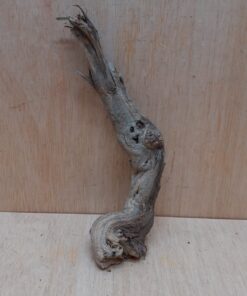 Sandblasted Grapevine - Small 9