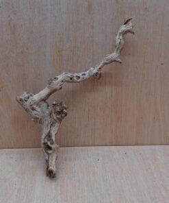 Sandblasted Grapevine - Small 10