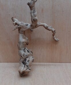 Sandblasted Grapevine - Small 11