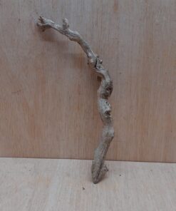 Sandblasted Grapevine - Small 16