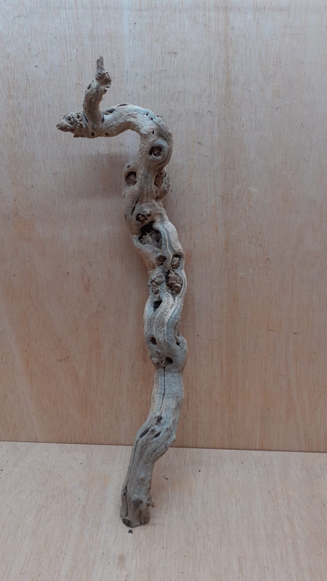 Sandblasted Grapevine - Medium 2