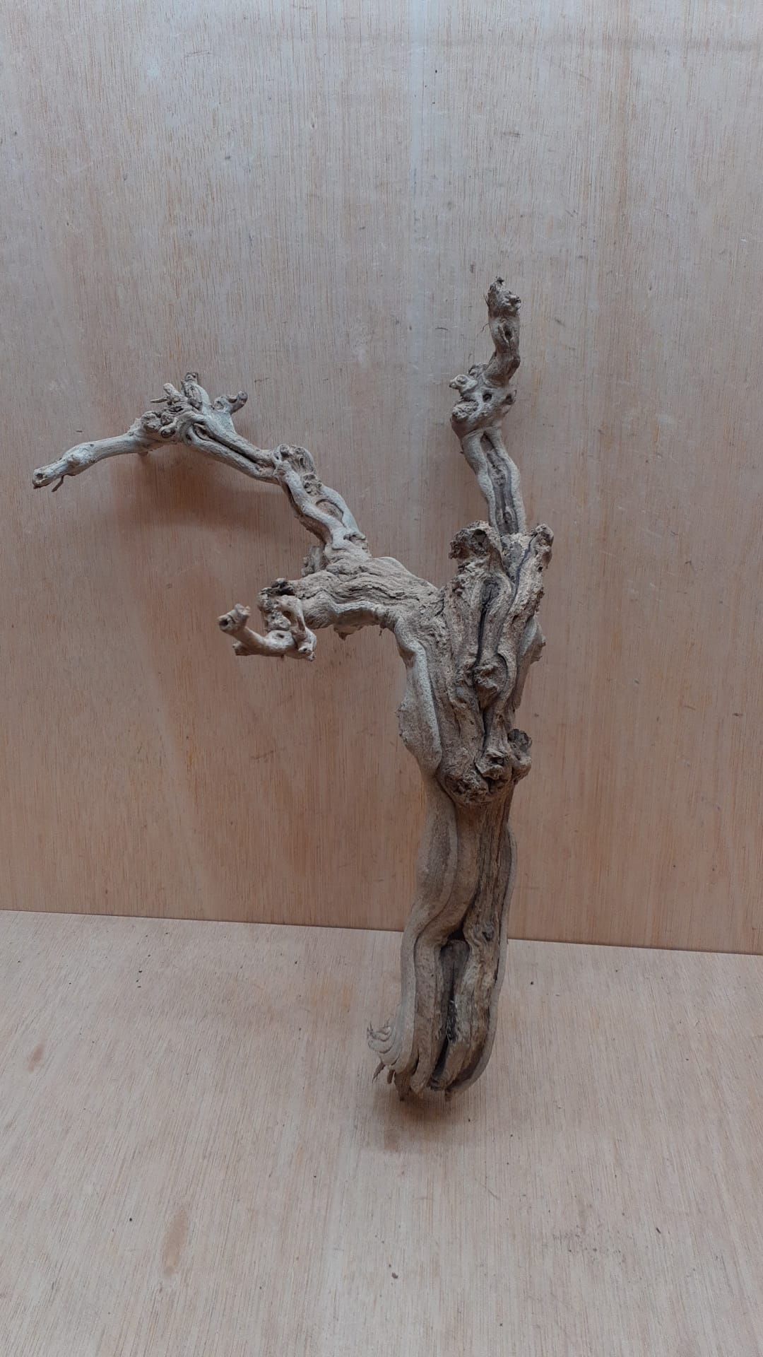 Sandblasted Grapevine - Medium 3