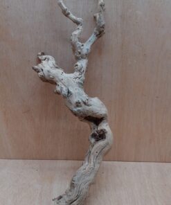 Sandblasted Grapevine - Medium 5