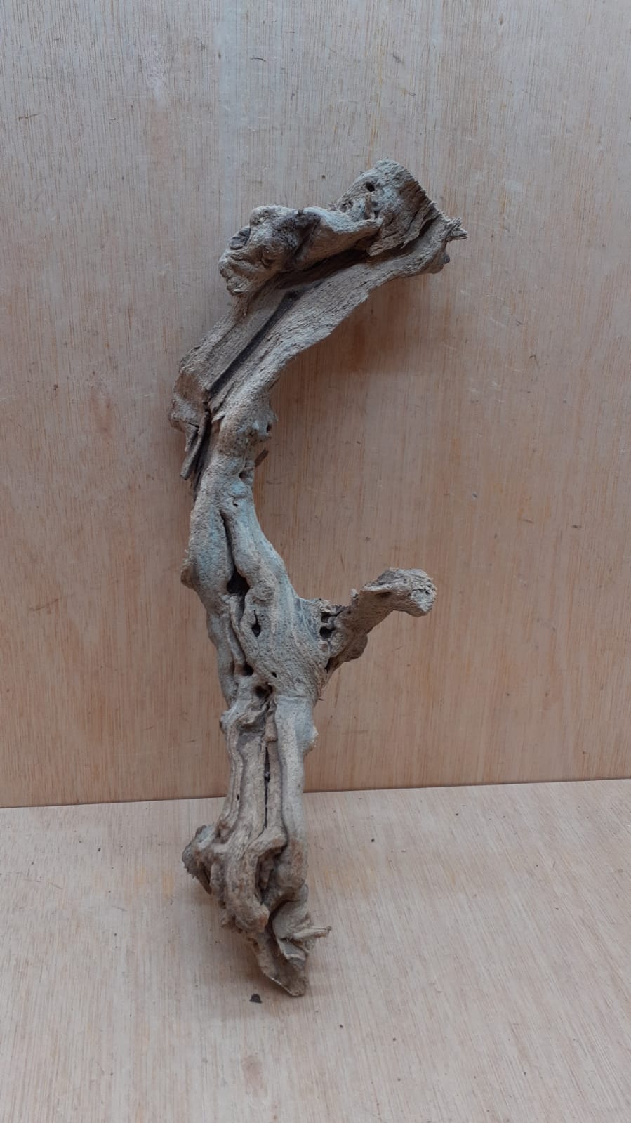 Sandblasted Grapevine - Medium 8