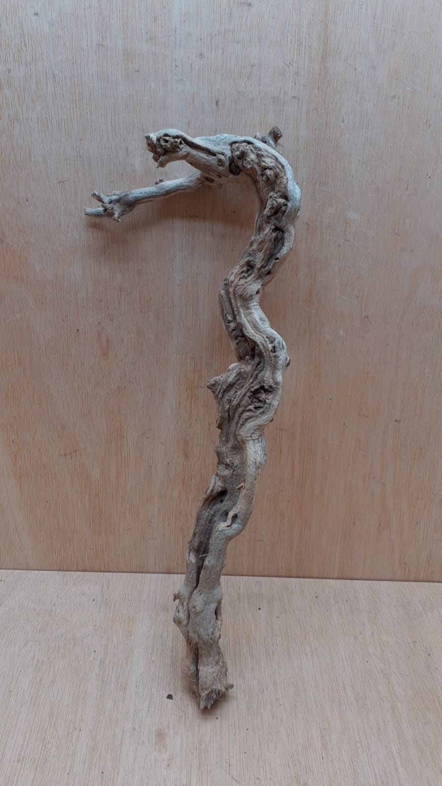 Sandblasted Grapevine - Medium 9