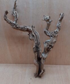 Sandblasted Grapevine - Medium 10