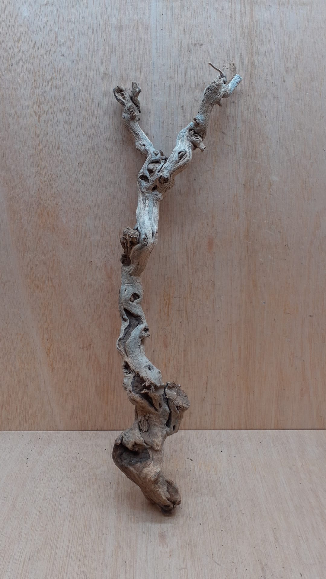 Sandblasted Grapevine - Medium 11