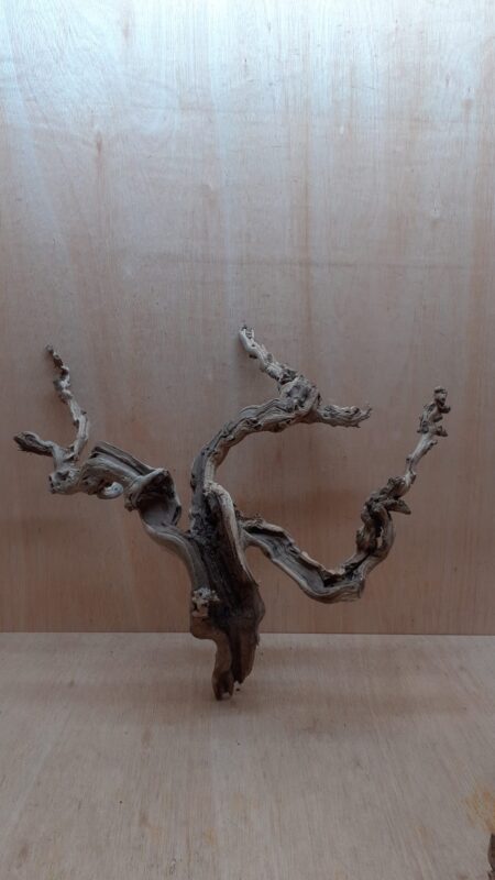 Sandblasted Grapevine - Medium 12