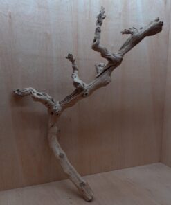 Sandblasted Grapevine - Large 2