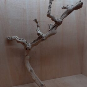 Sandblasted Grapevine - Large 2