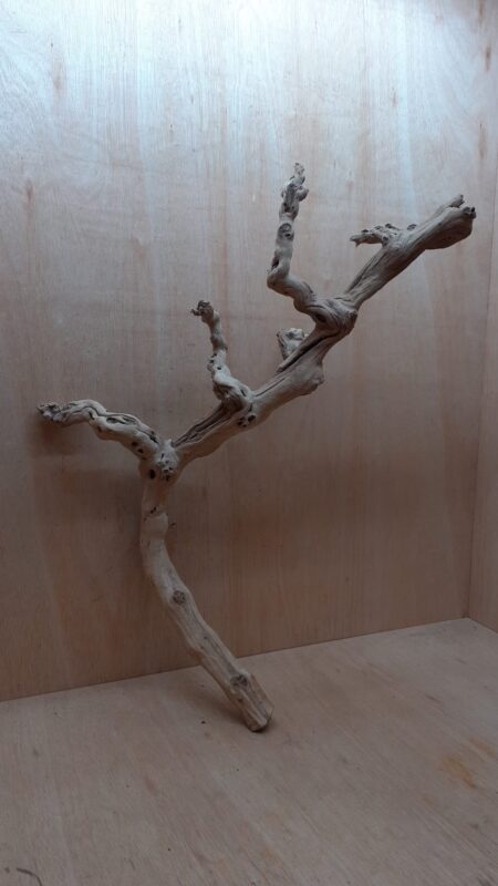 Sandblasted Grapevine - Large 2
