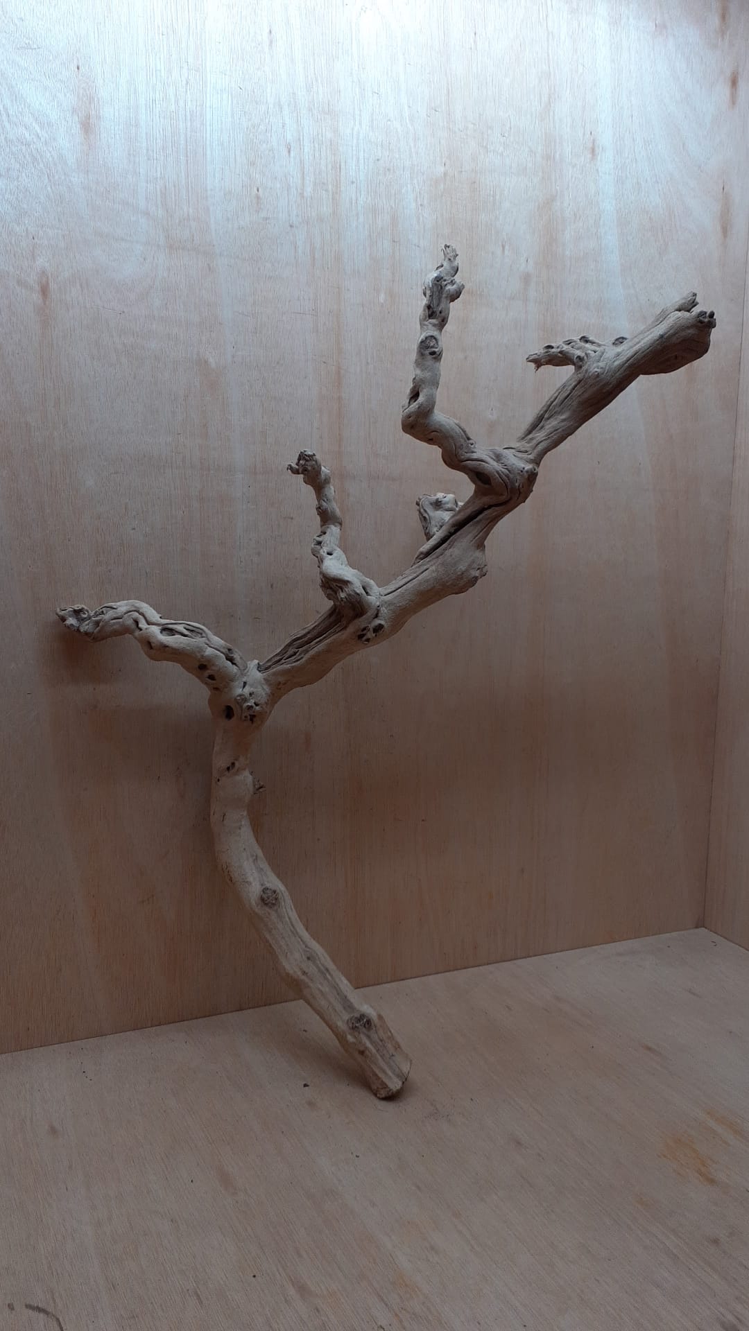 Sandblasted Grapevine - Large 2