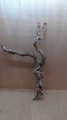 Sandblasted Grapevine - Large 3