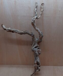 Sandblasted Grapevine - Large 3