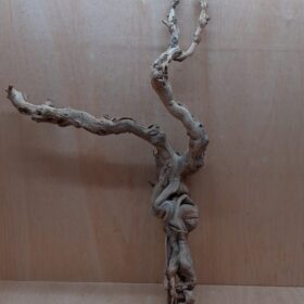Sandblasted Grapevine - Large 3