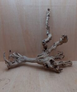 Sandblasted Grapevine - Large 7