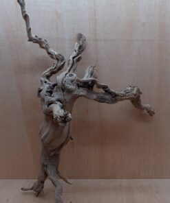 Sandblasted Grapevine - Large 12