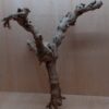 Sandblasted Grapevine - Large 13
