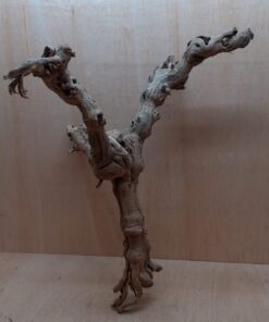 Sandblasted Grapevine - Large 13