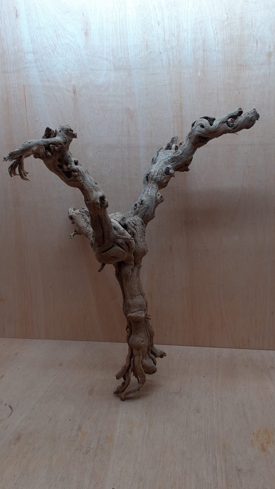 Sandblasted Grapevine - Large 13