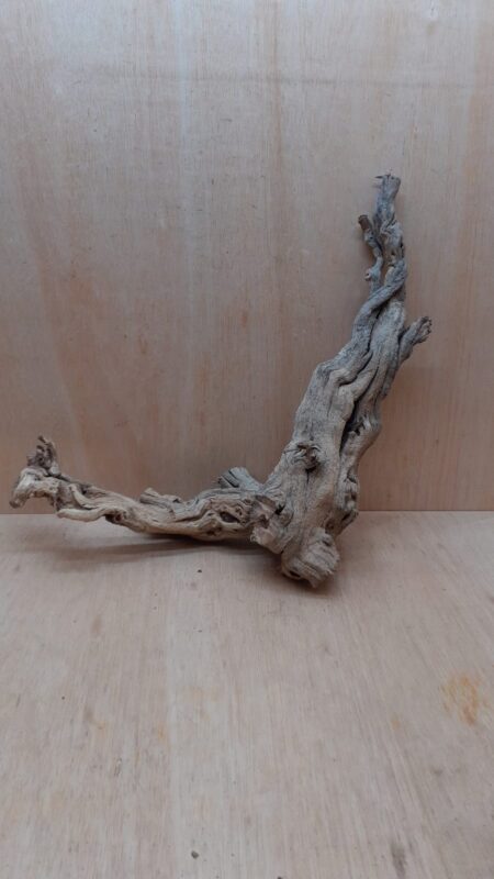 Sandblasted Grapevine - Large 17