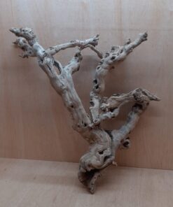 Sandblasted Grapevine - Large 18