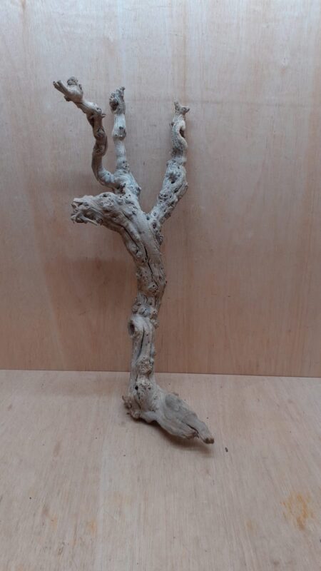 Sandblasted Grapevine - Large 20