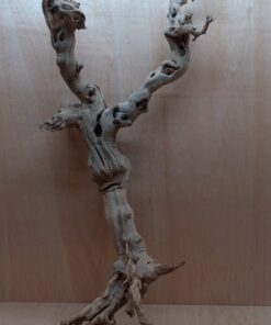 Sandblasted Grapevine - XL 1