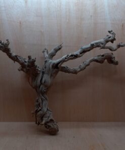 Sandblasted Grapevine - XL 6