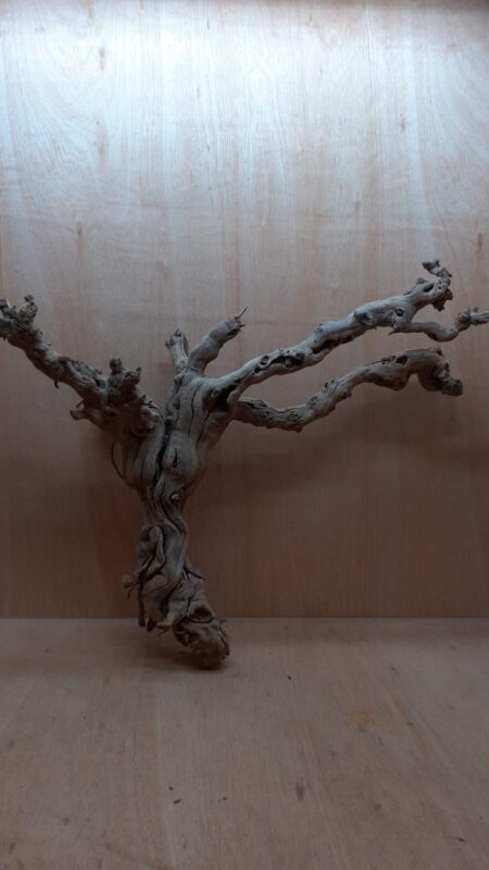 Sandblasted Grapevine - XL 6