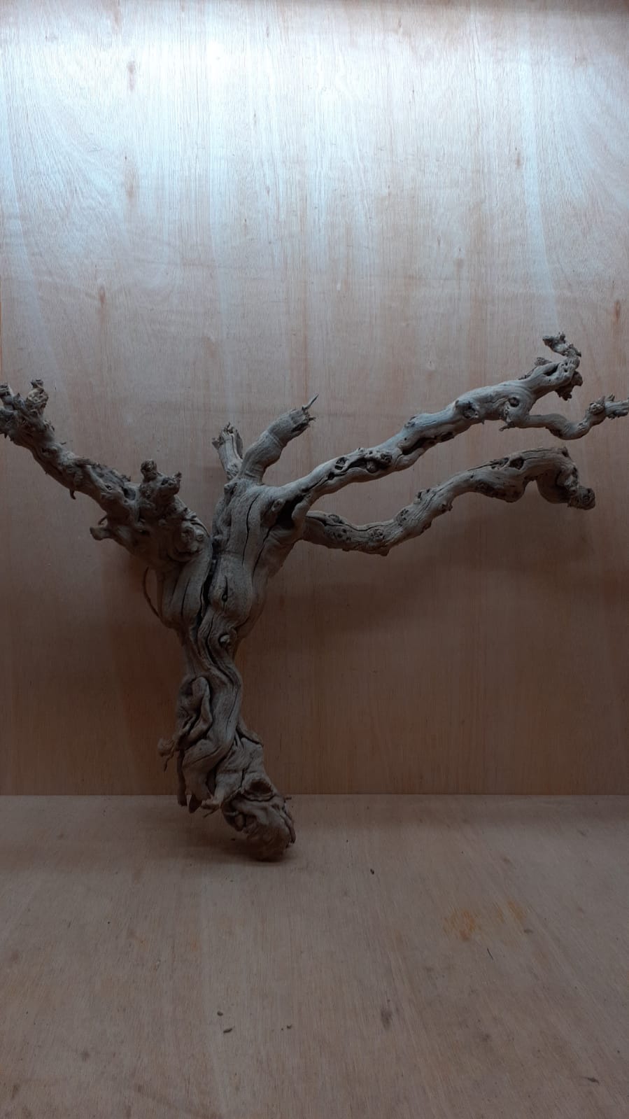 Sandblasted Grapevine - XL 6