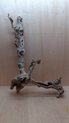 Sandblasted Grapevine - XL 7