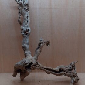 Sandblasted Grapevine - XL 7