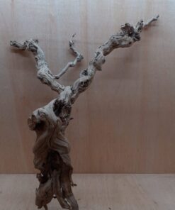 Sandblasted Grapevine - XL 10