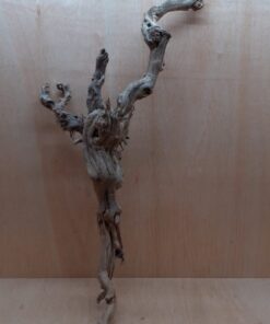 Sandblasted Grapevine - XL 13