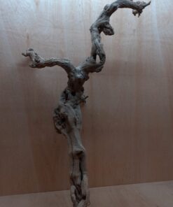 Sandblasted Grapevine - XL 15