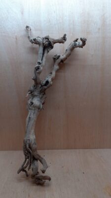 Sandblasted Grapevine - XL 16