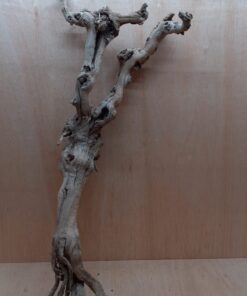 Sandblasted Grapevine - XL 16