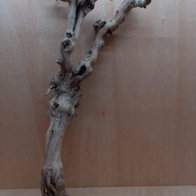 Sandblasted Grapevine - XL 16