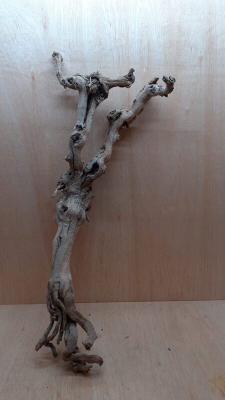 Sandblasted Grapevine - XL 16