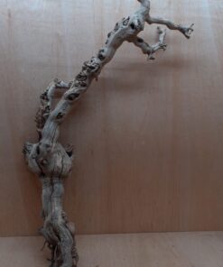 Sandblasted Grapevine - XL 17