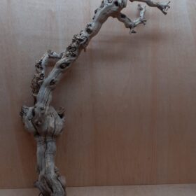 Sandblasted Grapevine - XL 17