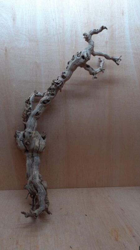 Sandblasted Grapevine - XL 17