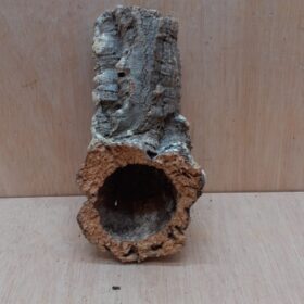 Small Cork Tube - Upto 40cm - 7