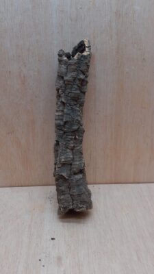 Small Cork Tube - Upto 40cm - 8